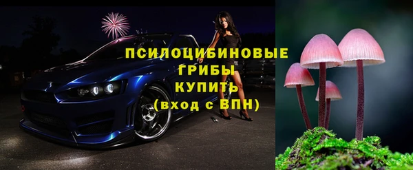 спиды Беломорск