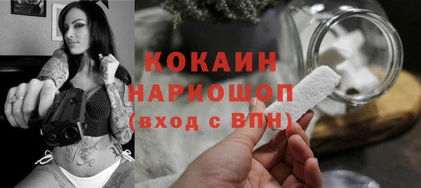 тгк Богородицк