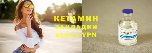 трава Бородино