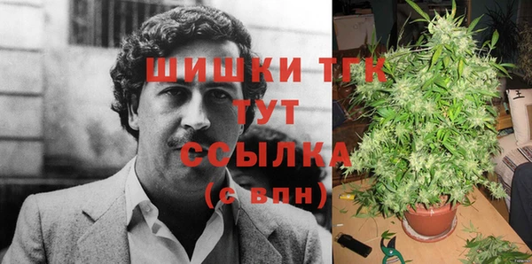 тгк Богородицк
