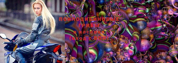 трава Бородино