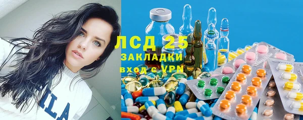 стафф Богданович