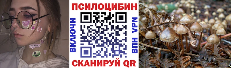 Псилоцибиновые грибы мухоморы  сколько стоит  Гаврилов-Ям 